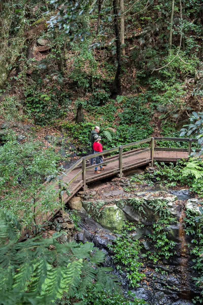 Two people walking along wooden bridge in forest