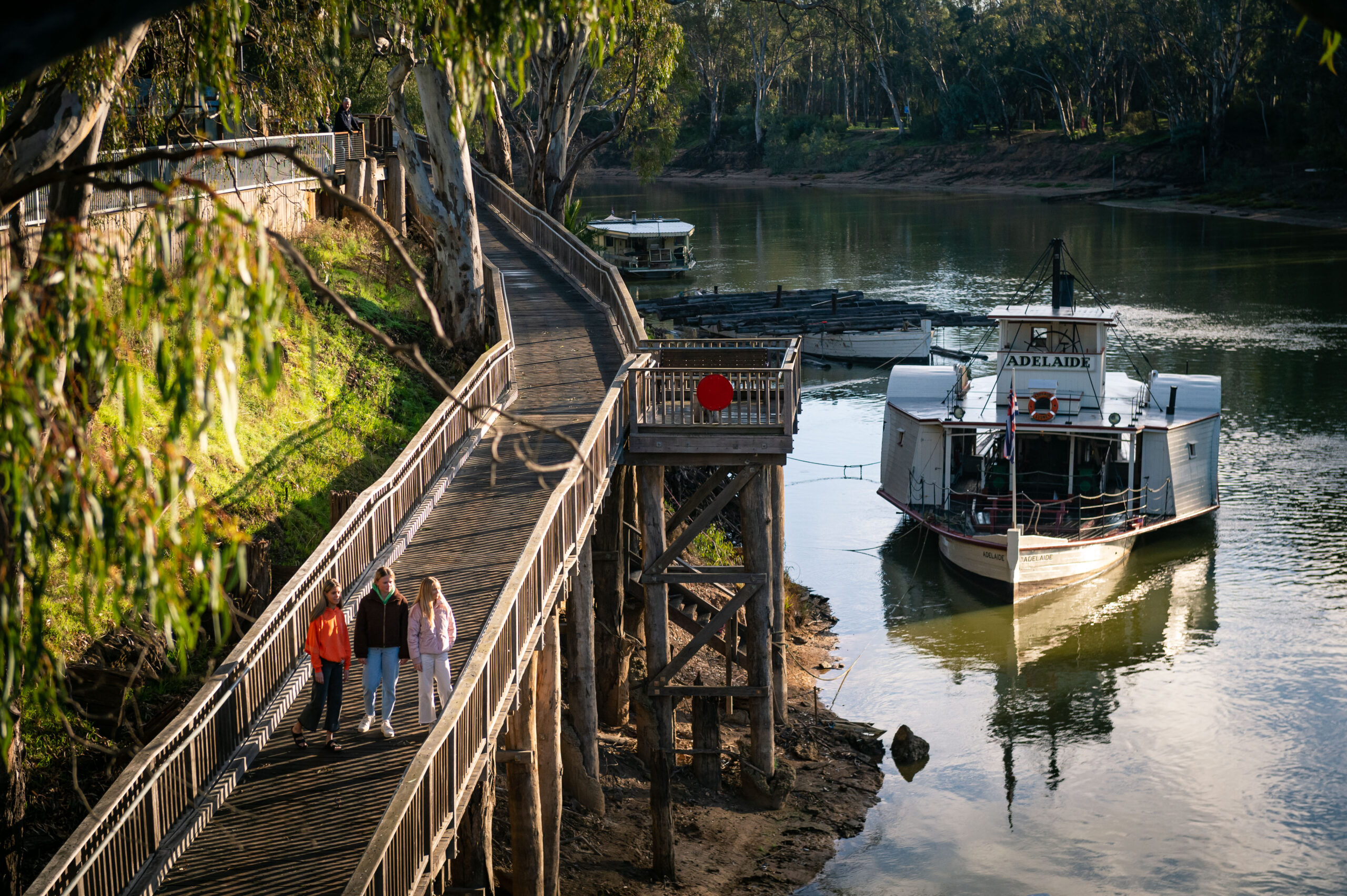 Paddlesteamer image